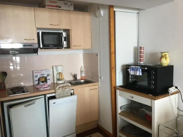 Appartement 4 Personnes Avec Piscine, Wifi, Garage Besse-et-Saint-Anastaise Apartment
