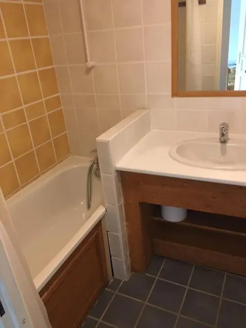 Appartement 4 Personnes Avec Piscine, Wifi, Garage Besse-et-Saint-Anastaise 0*,